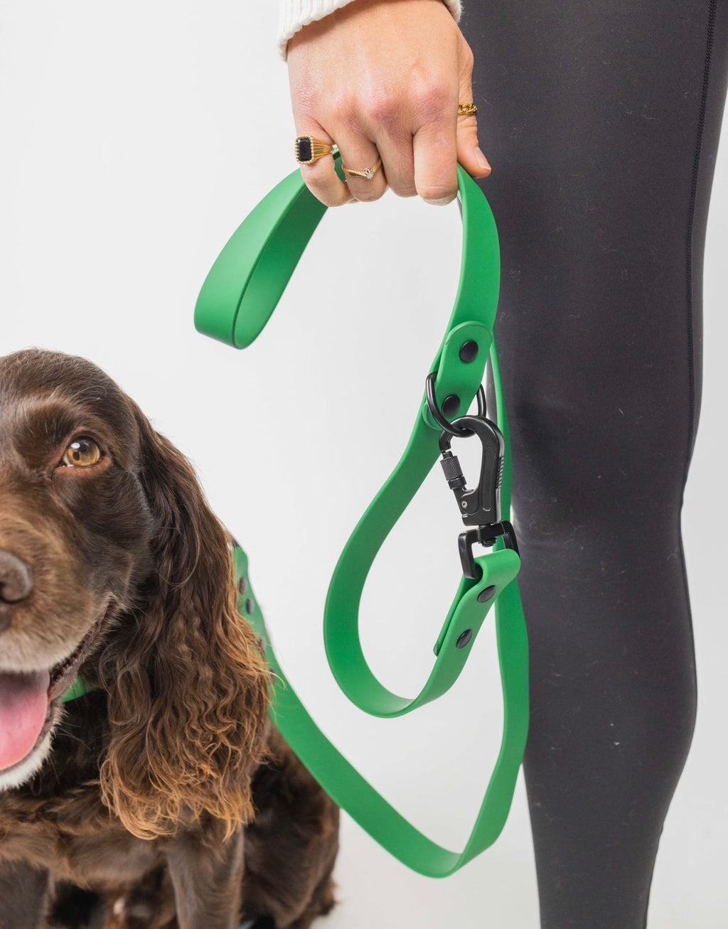 Clover Green Dog Leash