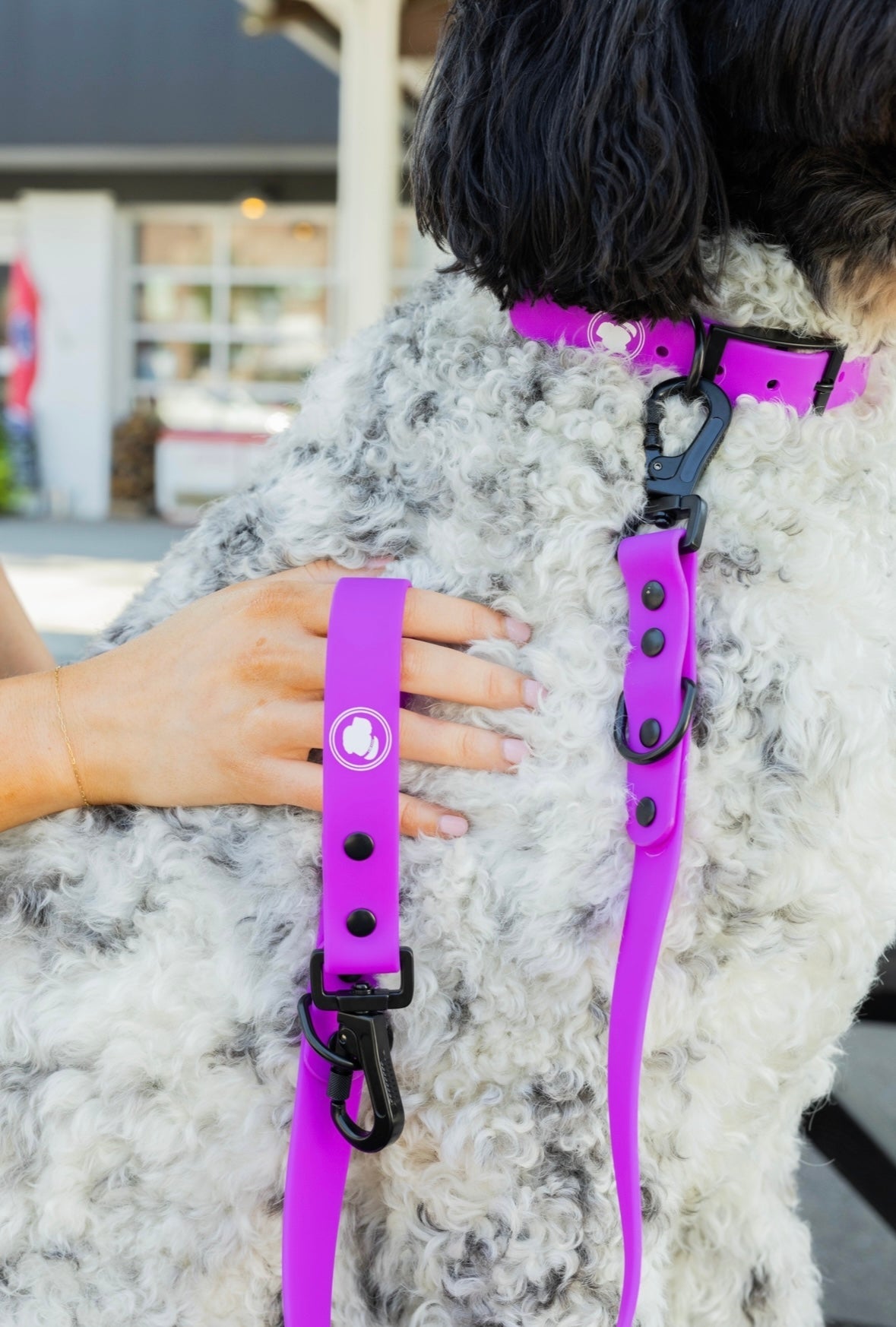 Electric Fuchsia Weather and Odor Resistant Dog Leash