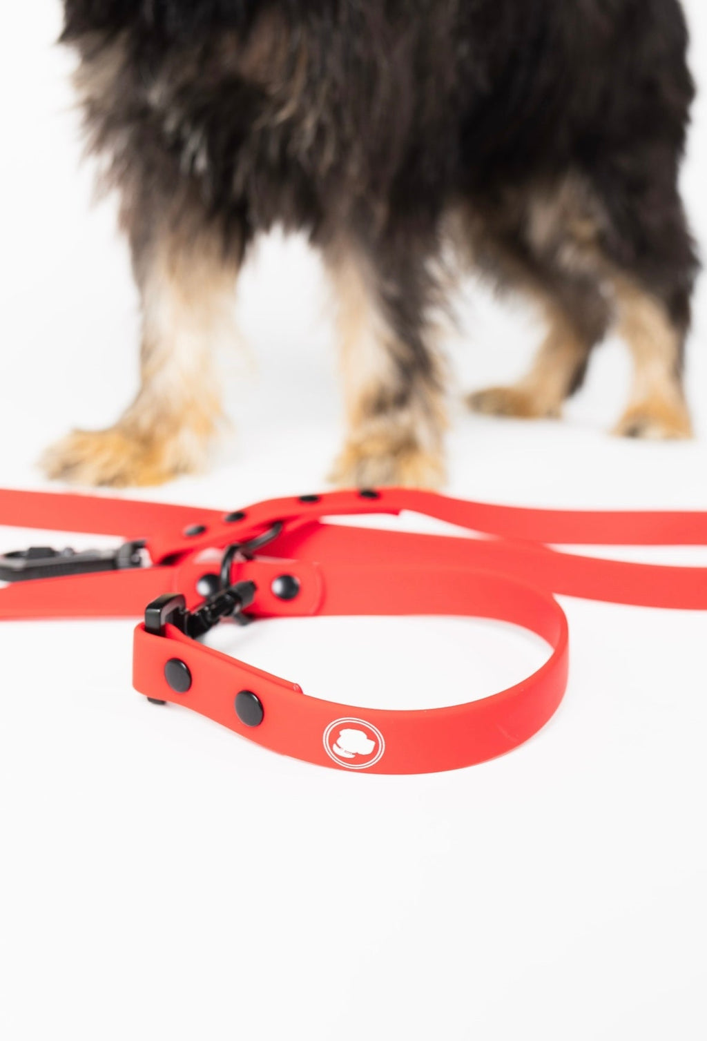 Ruby Red Adjustable Dog Leash