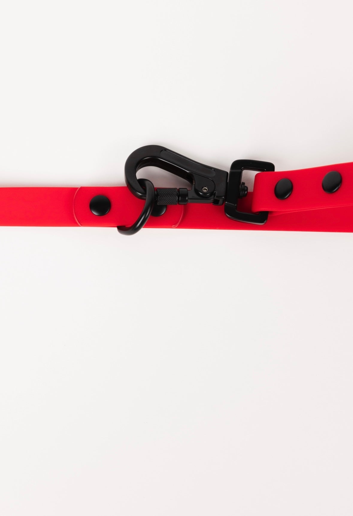 Ruby Red Adjustable Dog Leash