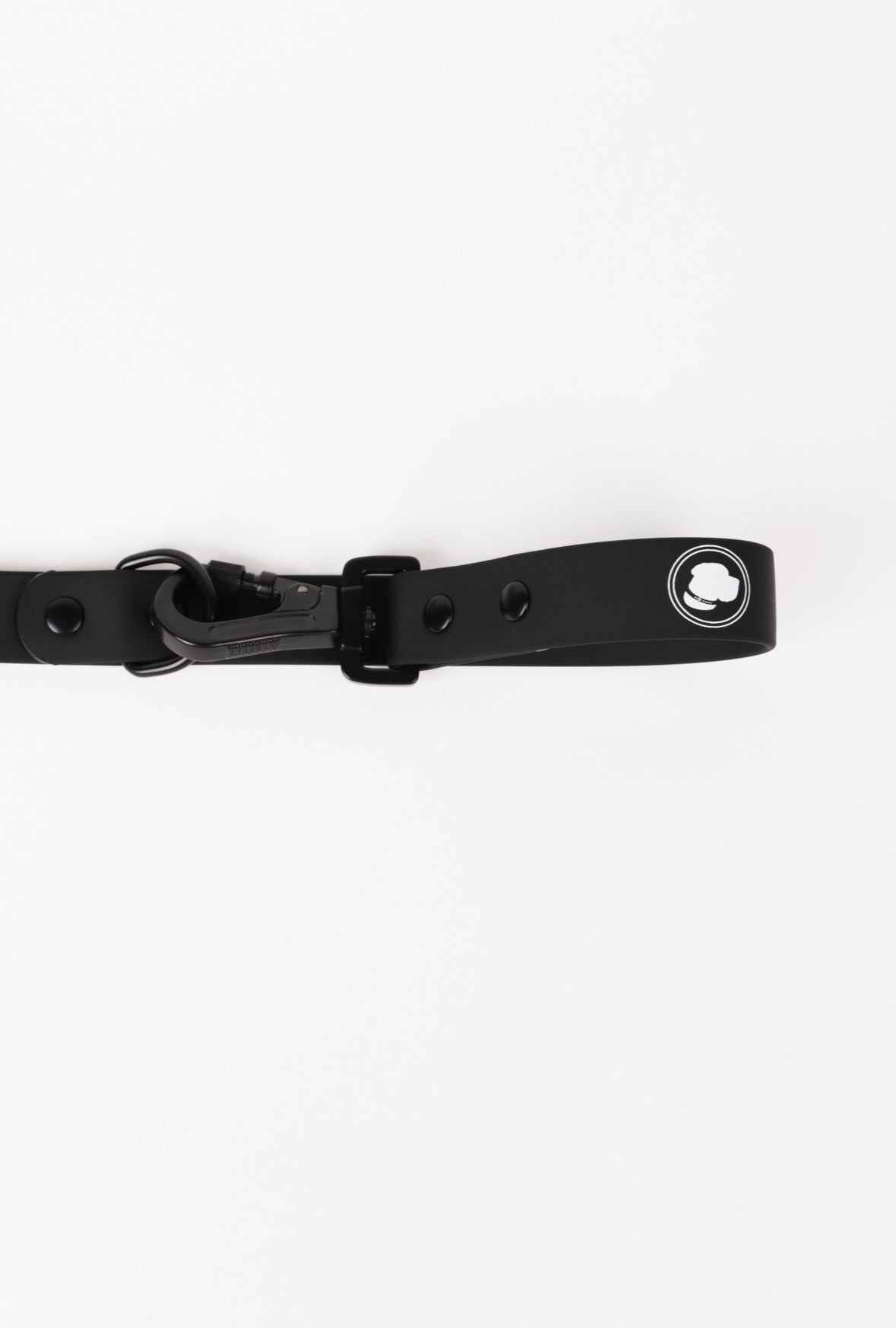 Better in Black Dog Leash