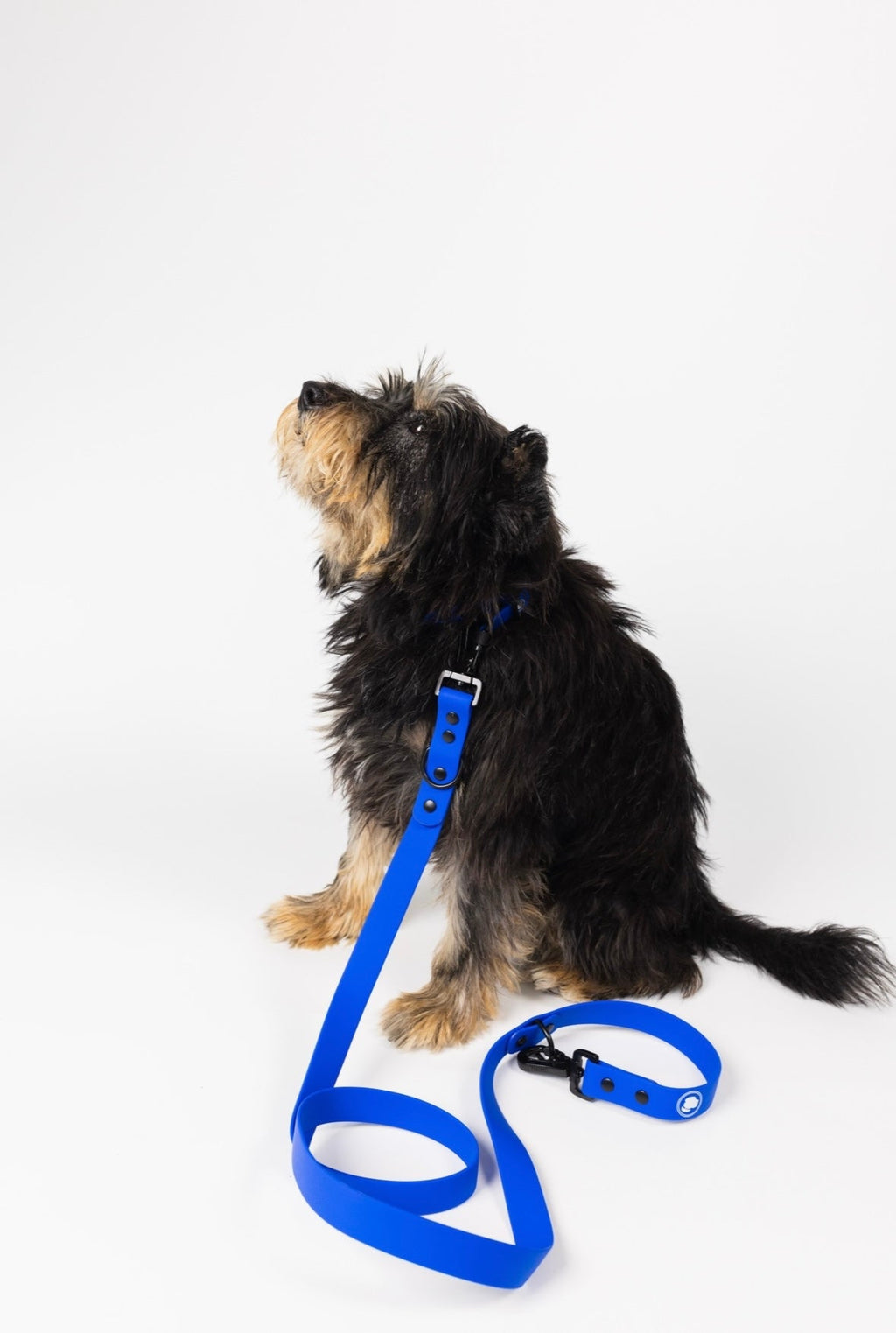Royal Blue Weather and Odor Resistant Dog Leash