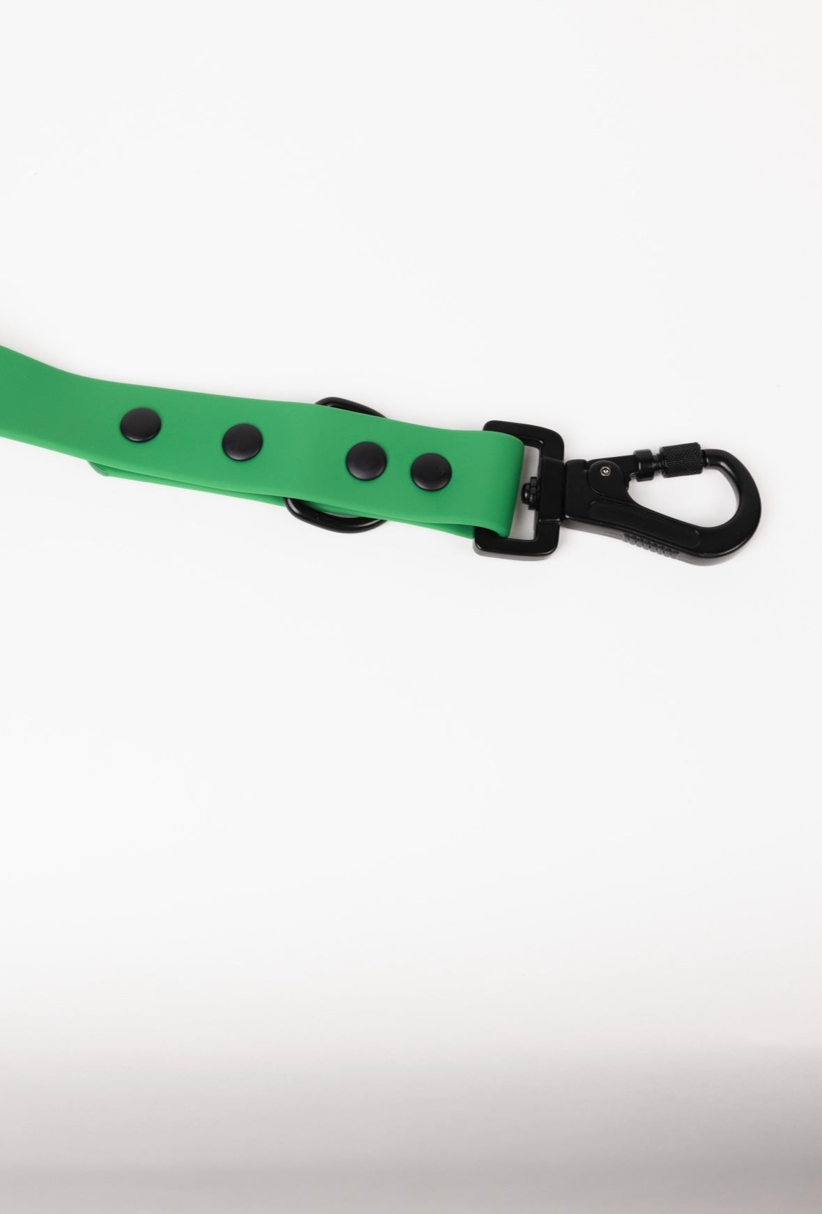 Clover Green Dog Leash