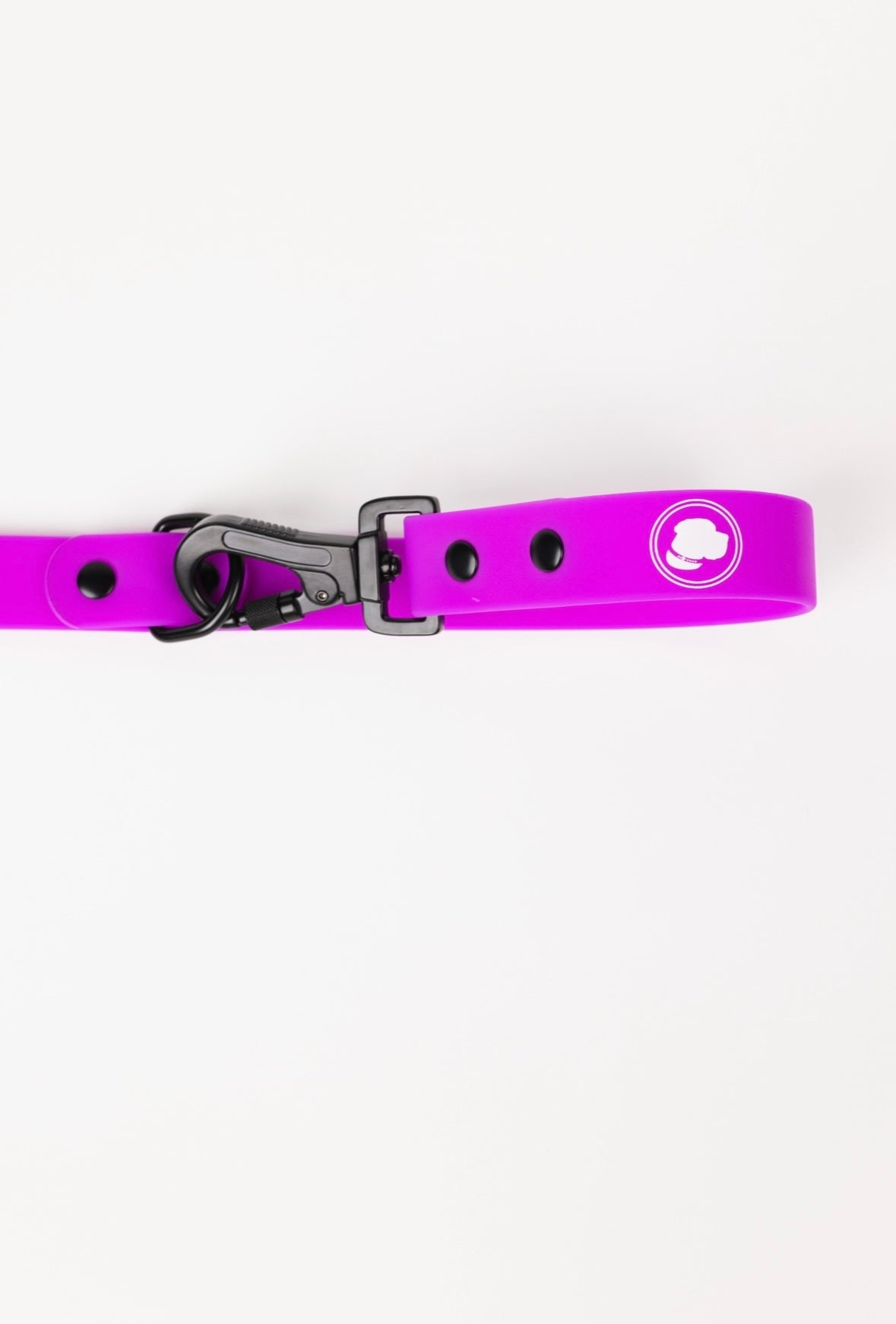 Electric Fuchsia Weather and Odor Resistant Dog Leash