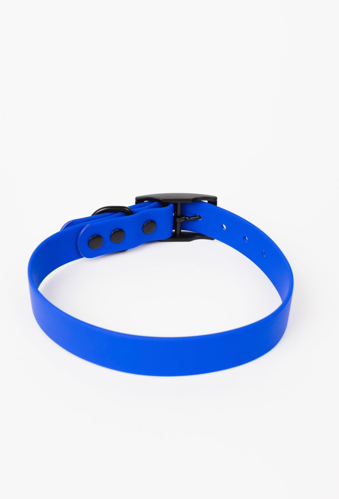 Royal Blue Weather and Odor Resistant Dog Collar