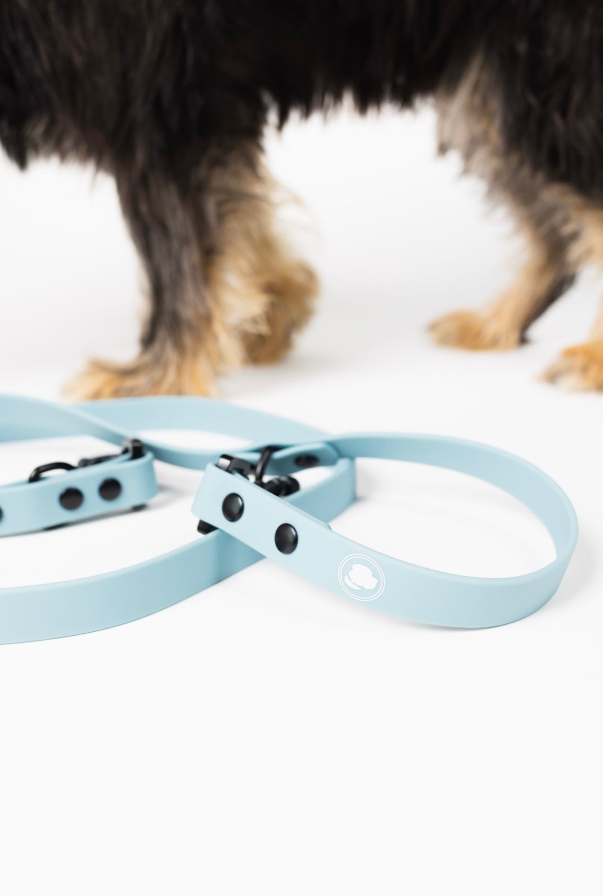 Dusty Blue Adjustable Dog Leash