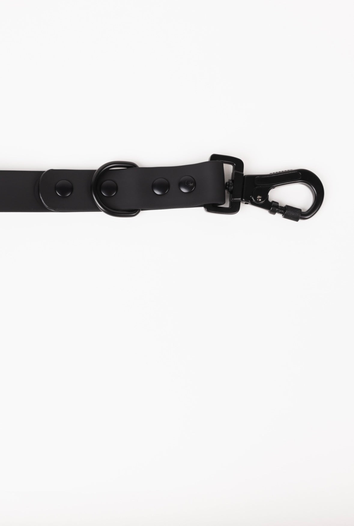 Better in Black Dog Leash