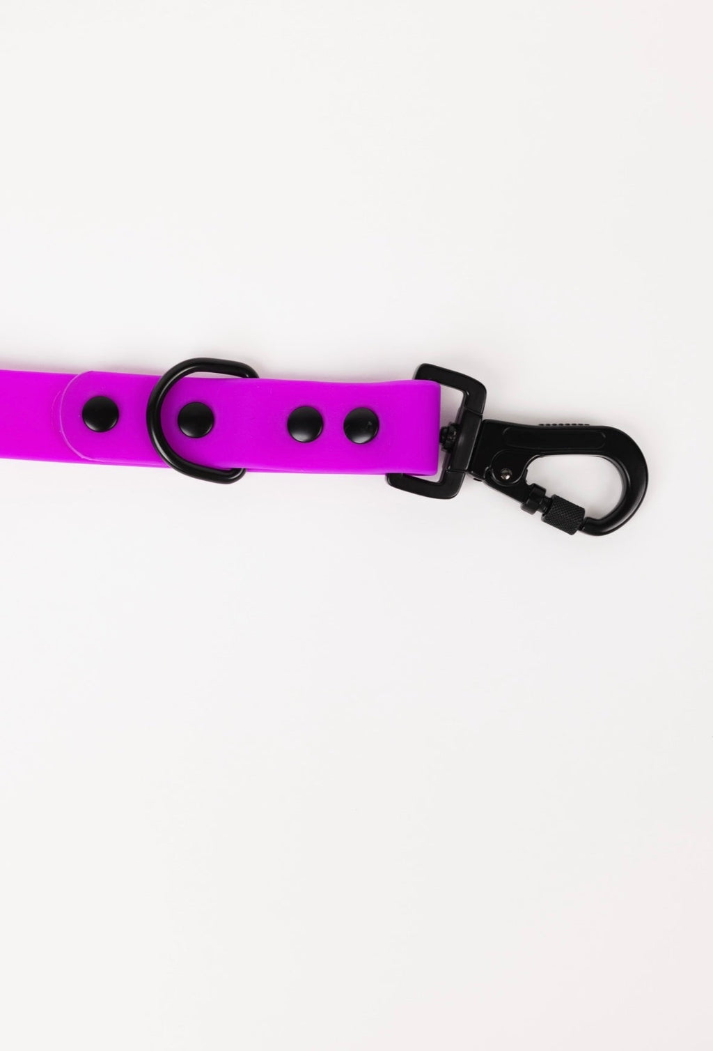 Electric Fuchsia Weather and Odor Resistant Dog Leash