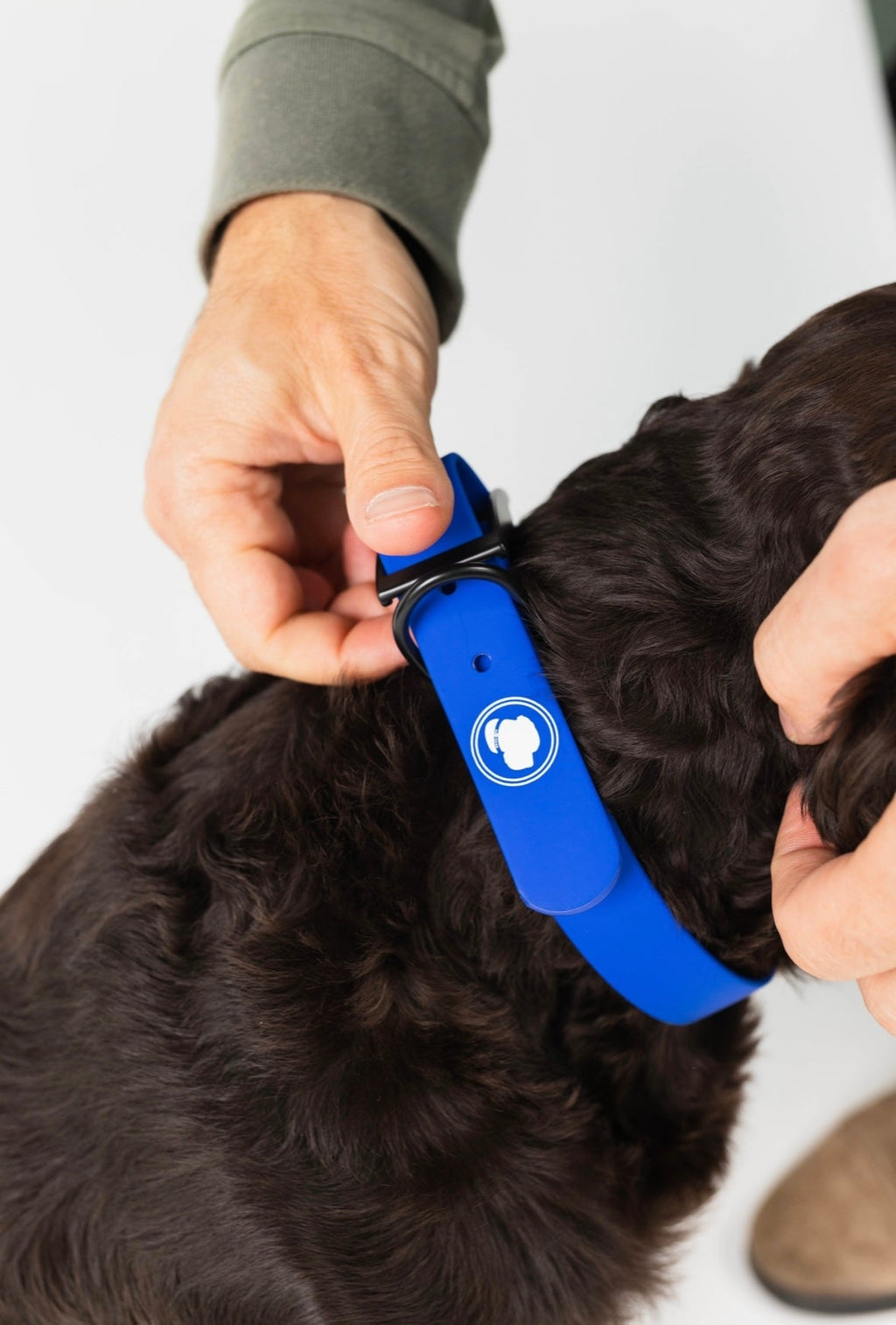 Royal Blue Weather and Odor Resistant Dog Collar