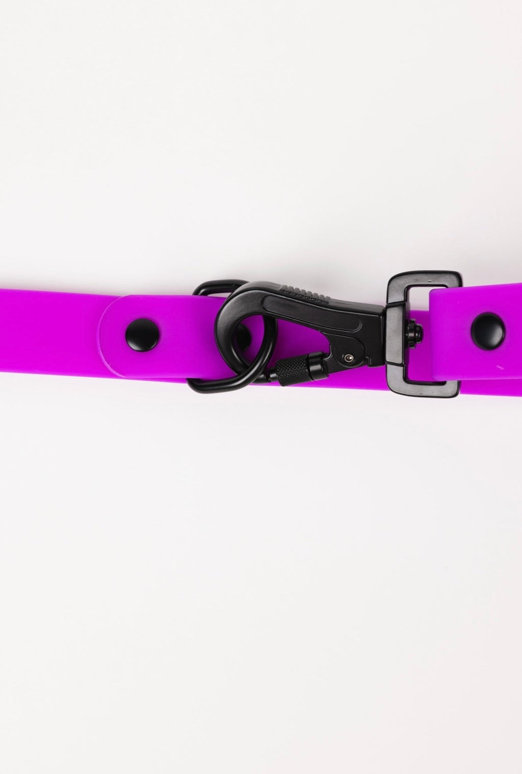 Electric Fuchsia Weather and Odor Resistant Dog Leash
