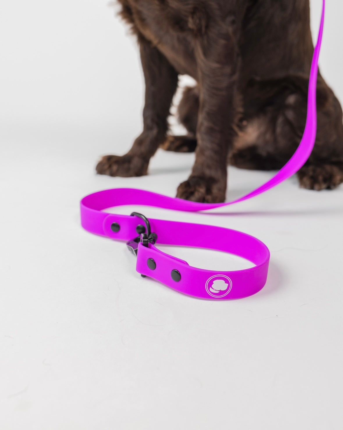 Electric Fuchsia Weather and Odor Resistant Dog Leash