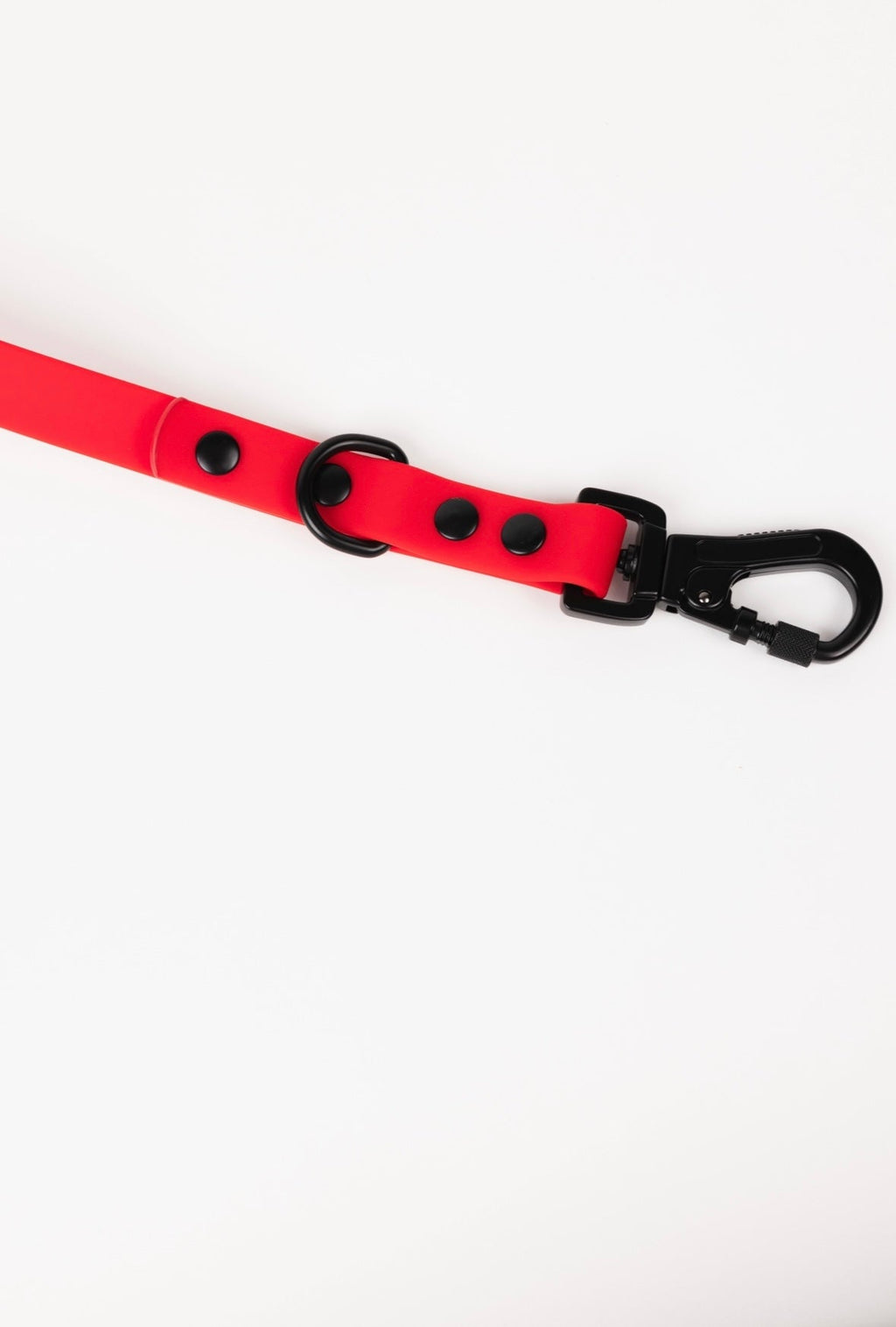 Ruby Red Adjustable Dog Leash