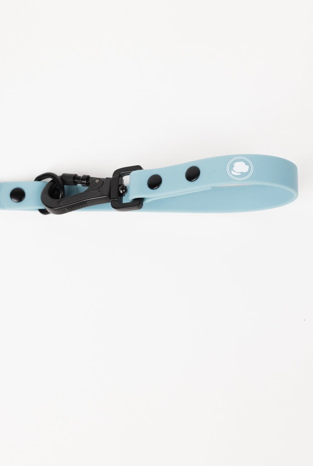 Dusty Blue Adjustable Dog Leash