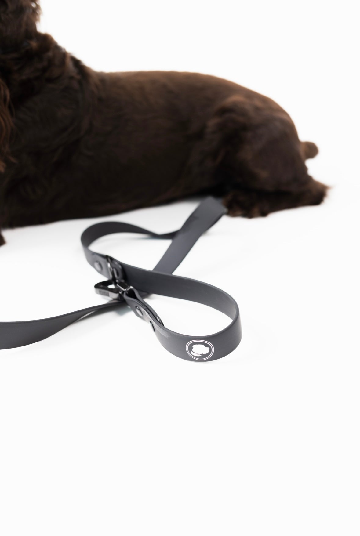 Better in Black Dog Leash