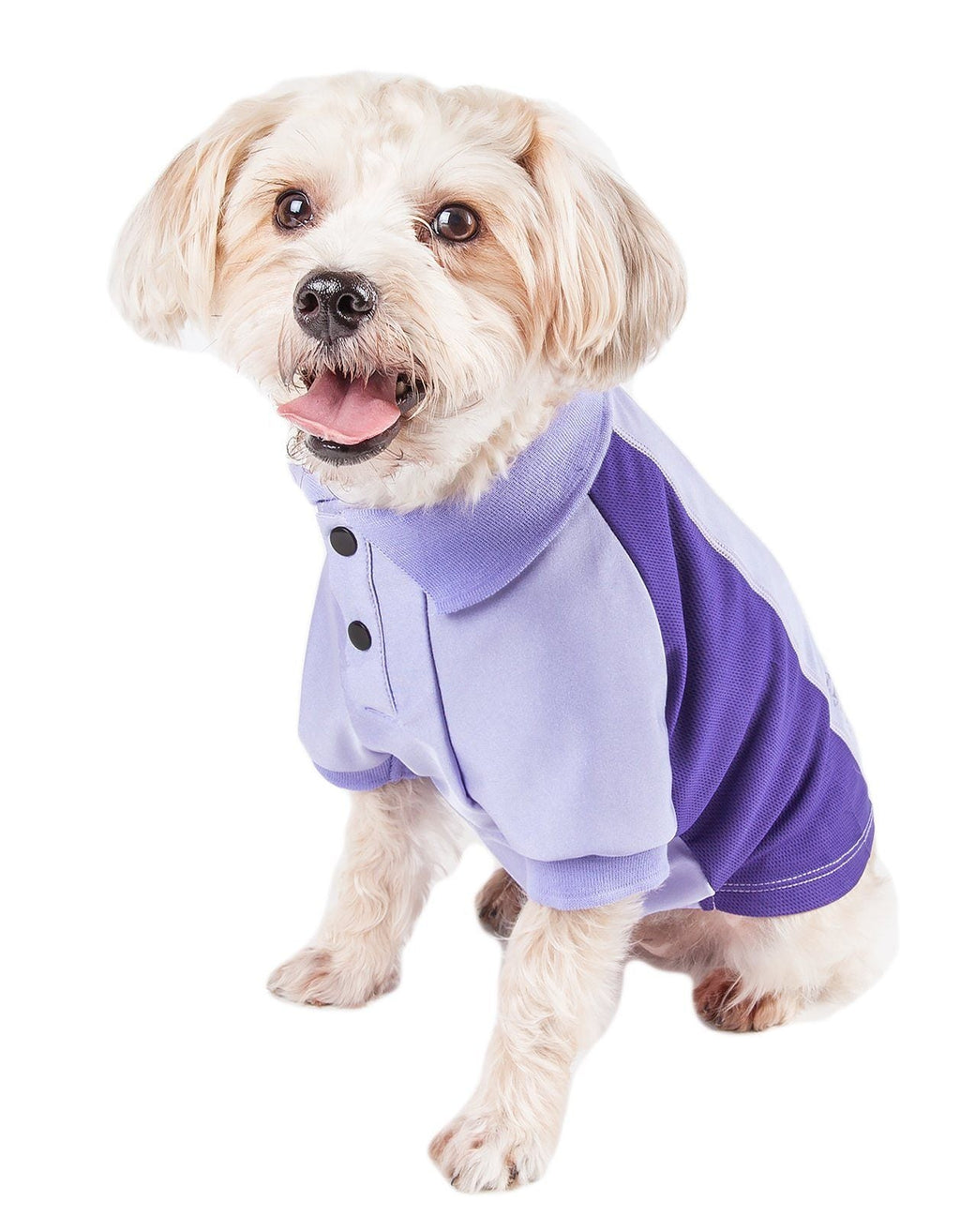 Active Barko Pawlo Relax-Stretch Quick-Dry Performance Dog Polo T-Shirt