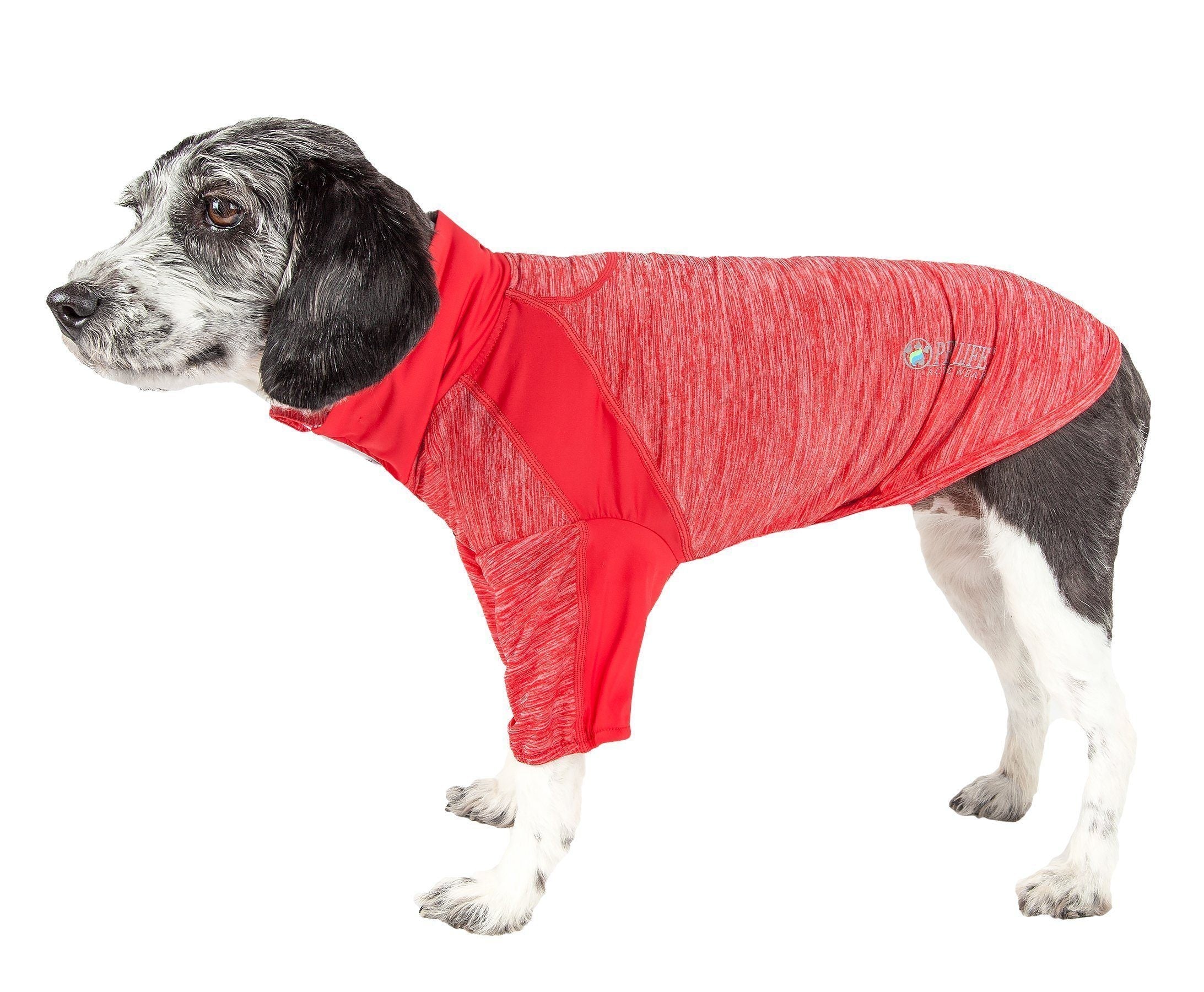 Active Chewitt Wagassy 4-Way-Stretch Yoga Fitness Long-Sleeve Dog T-Shirt