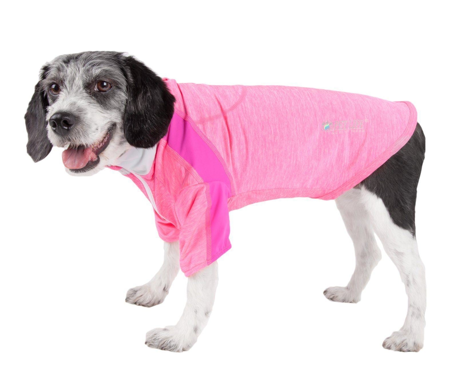 Active Chewitt Wagassy 4-Way-Stretch Yoga Fitness Long-Sleeve Dog T-Shirt