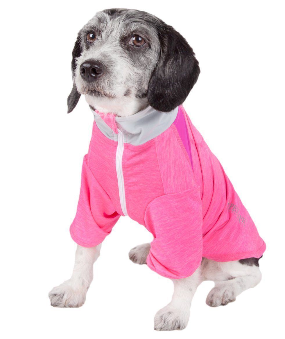 Active Chewitt Wagassy 4-Way-Stretch Yoga Fitness Long-Sleeve Dog T-Shirt