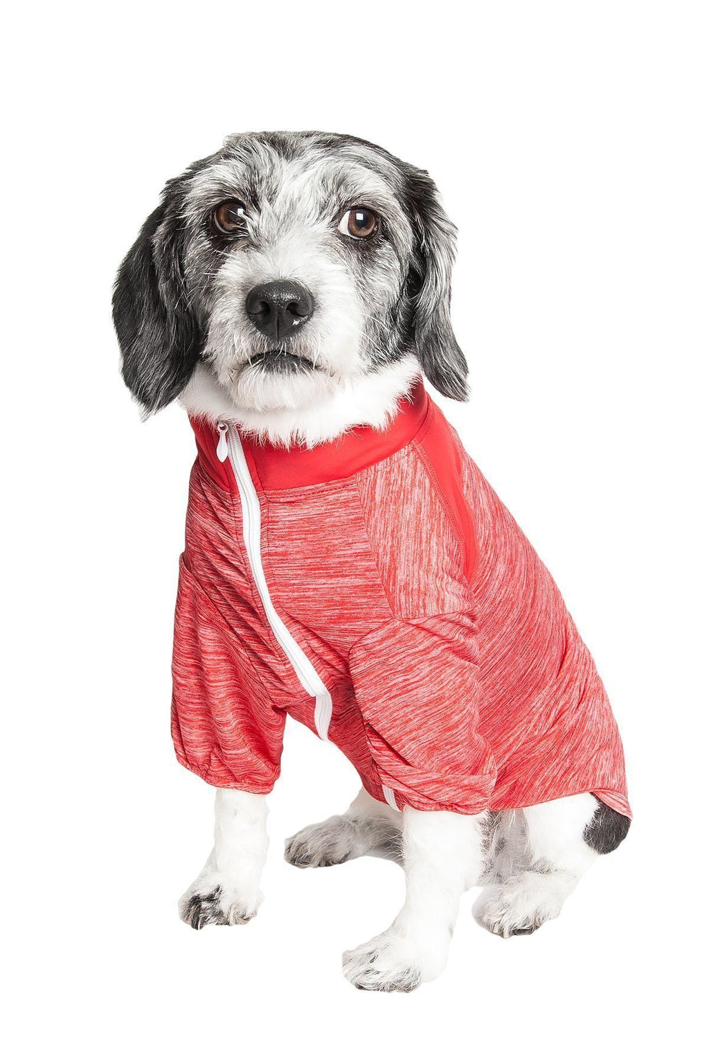 Active Chewitt Wagassy 4-Way-Stretch Yoga Fitness Long-Sleeve Dog T-Shirt