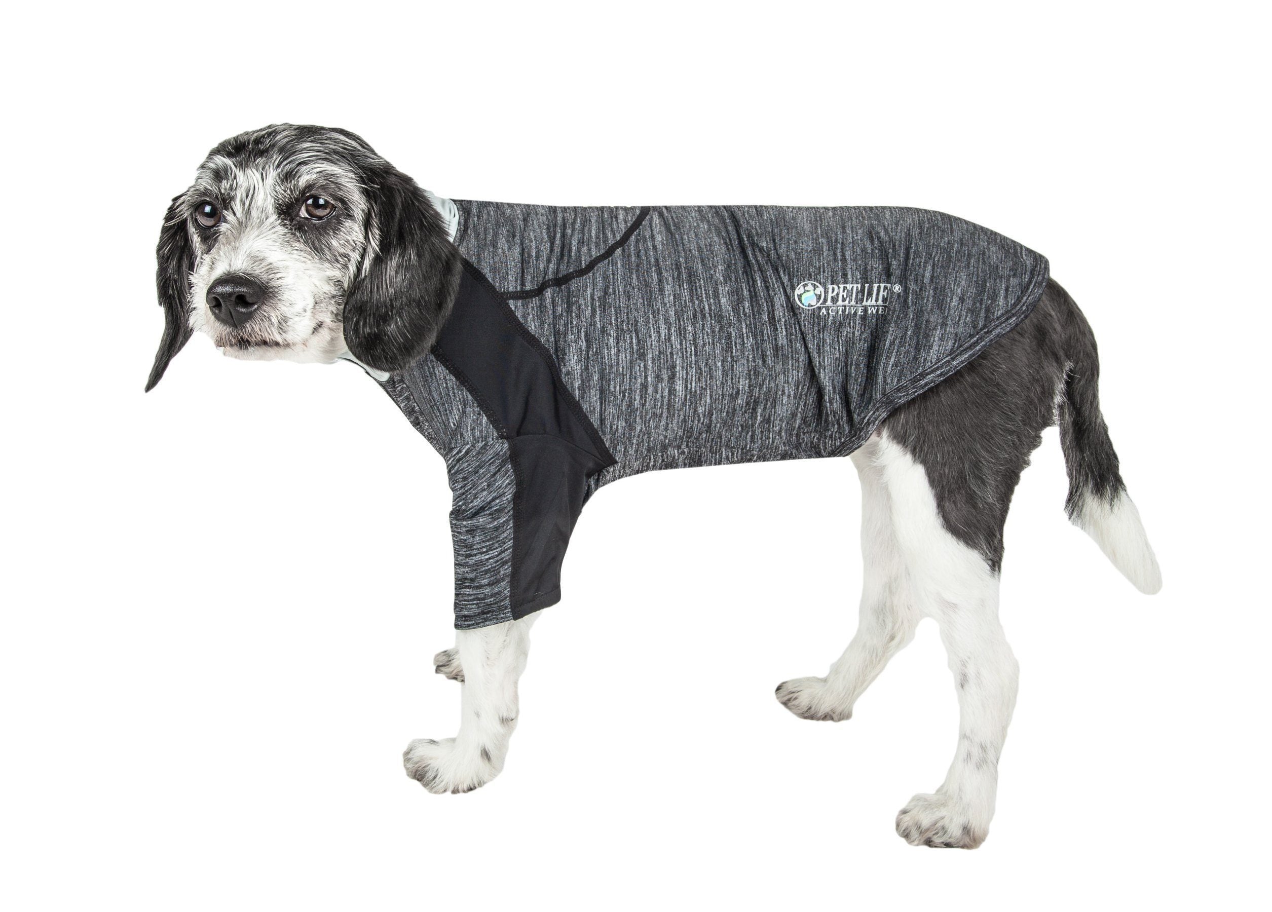 Active Chewitt Wagassy 4-Way-Stretch Yoga Fitness Long-Sleeve Dog T-Shirt