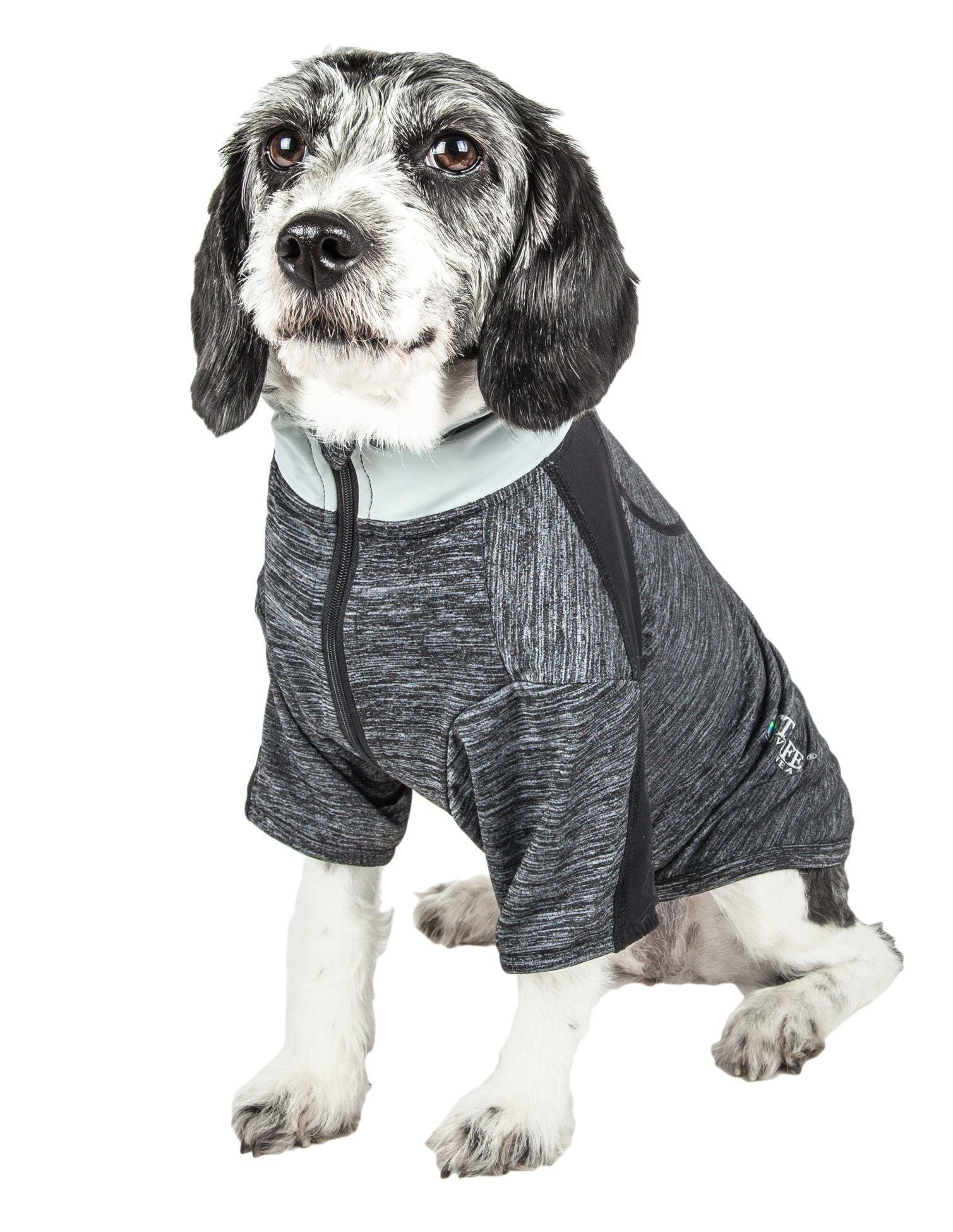 Active Chewitt Wagassy 4-Way-Stretch Yoga Fitness Long-Sleeve Dog T-Shirt