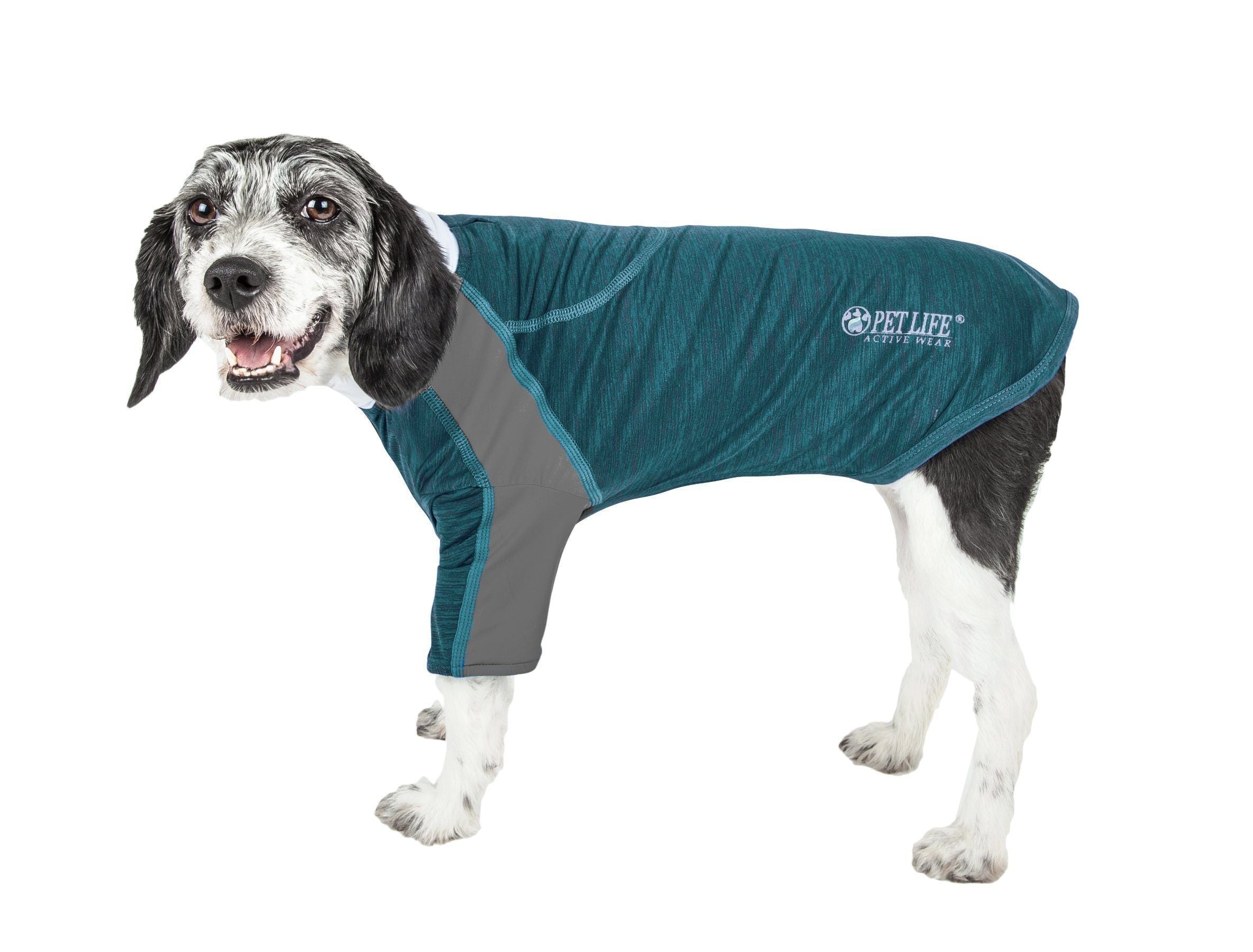 Active Chewitt Wagassy 4-Way-Stretch Yoga Fitness Long-Sleeve Dog T-Shirt