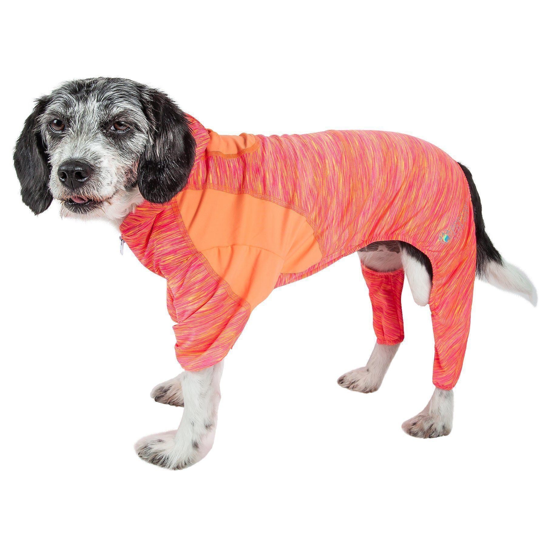 Active Downward Dog 4-Way-Stretch Fitness Yoga Dog Tracksuit Hoodie