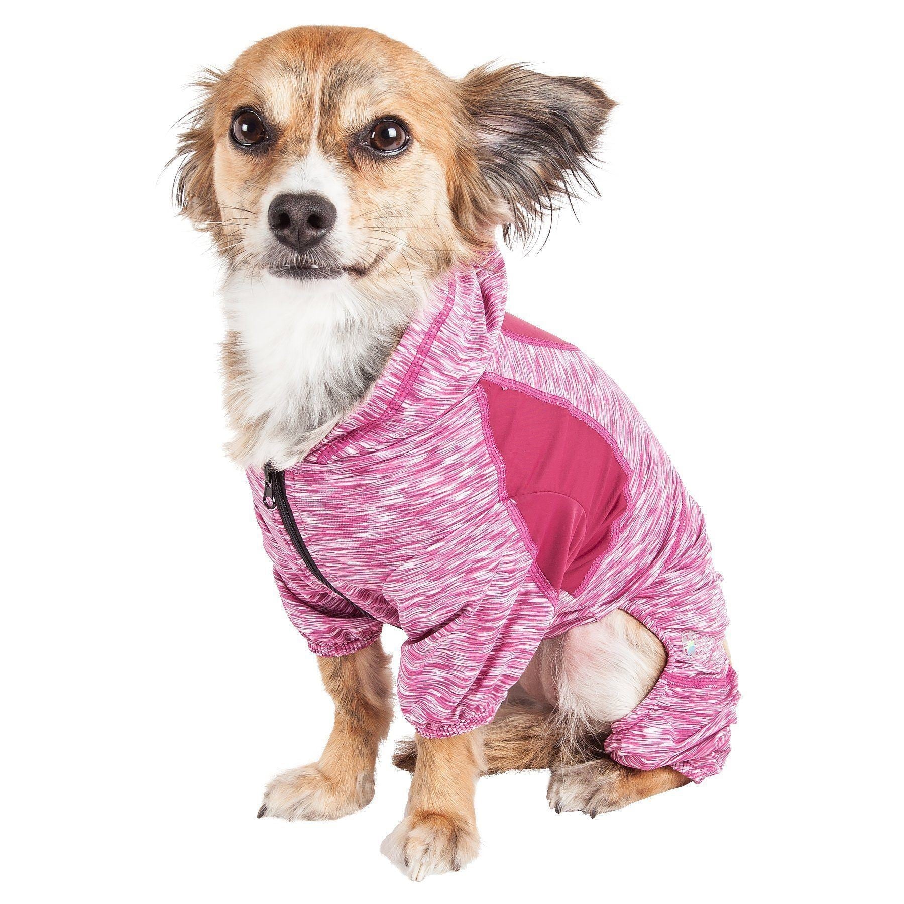 Active Downward Dog 4-Way-Stretch Fitness Yoga Dog Tracksuit Hoodie