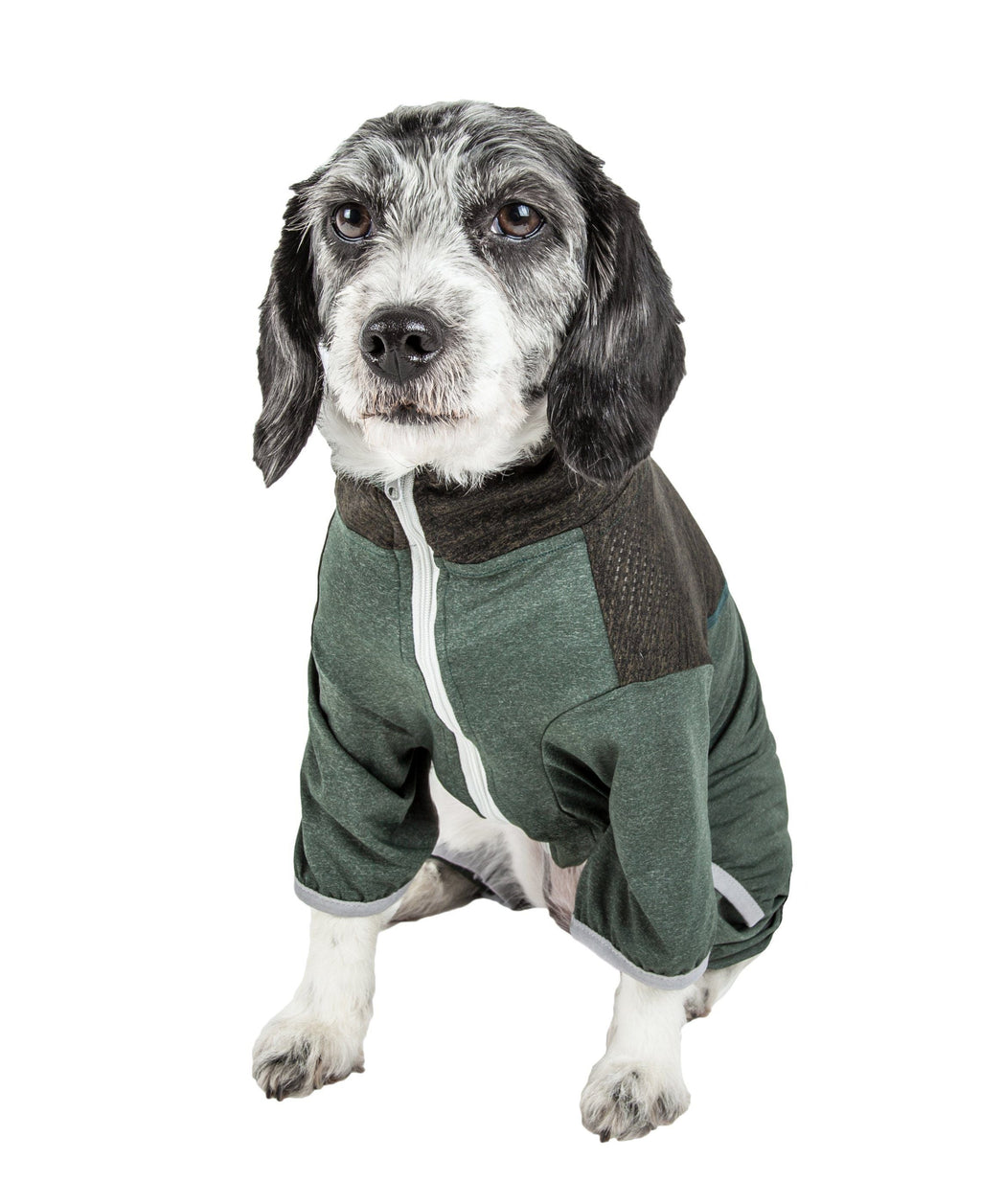 Embarker 4-Way Stretch Fitness Yoga Full Body Dog Tracksuit