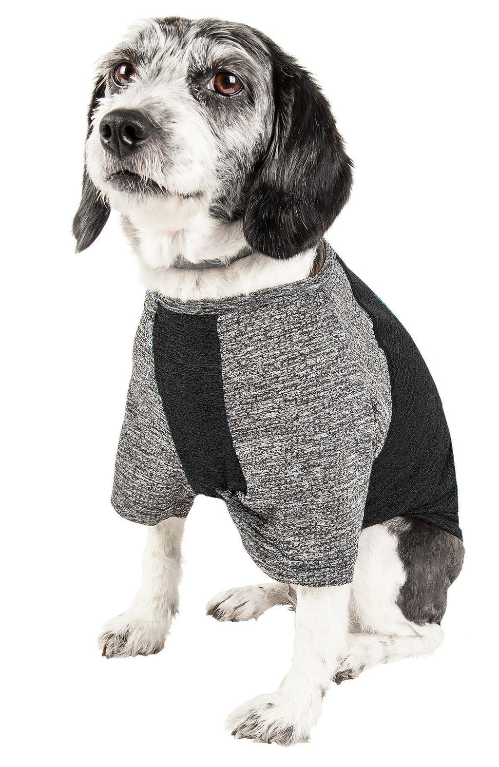 Active Hybreed 4-Way-Stretch Fitness Performance Dog T-Shirt