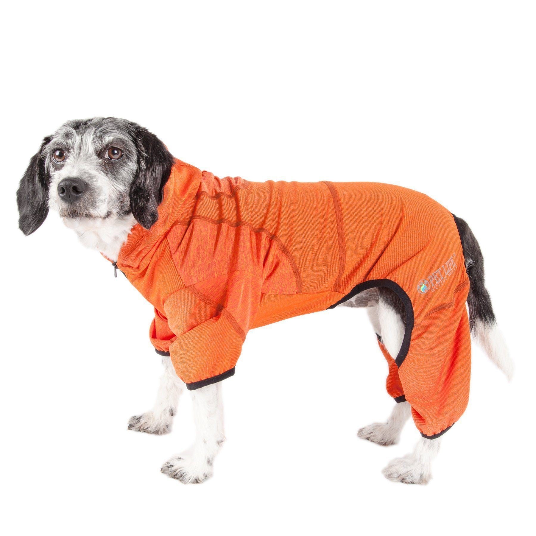 Active Pawsterity Mediumweight 4-Way-Stretch Yoga Fitness Dog Tracksuit Hoodie
