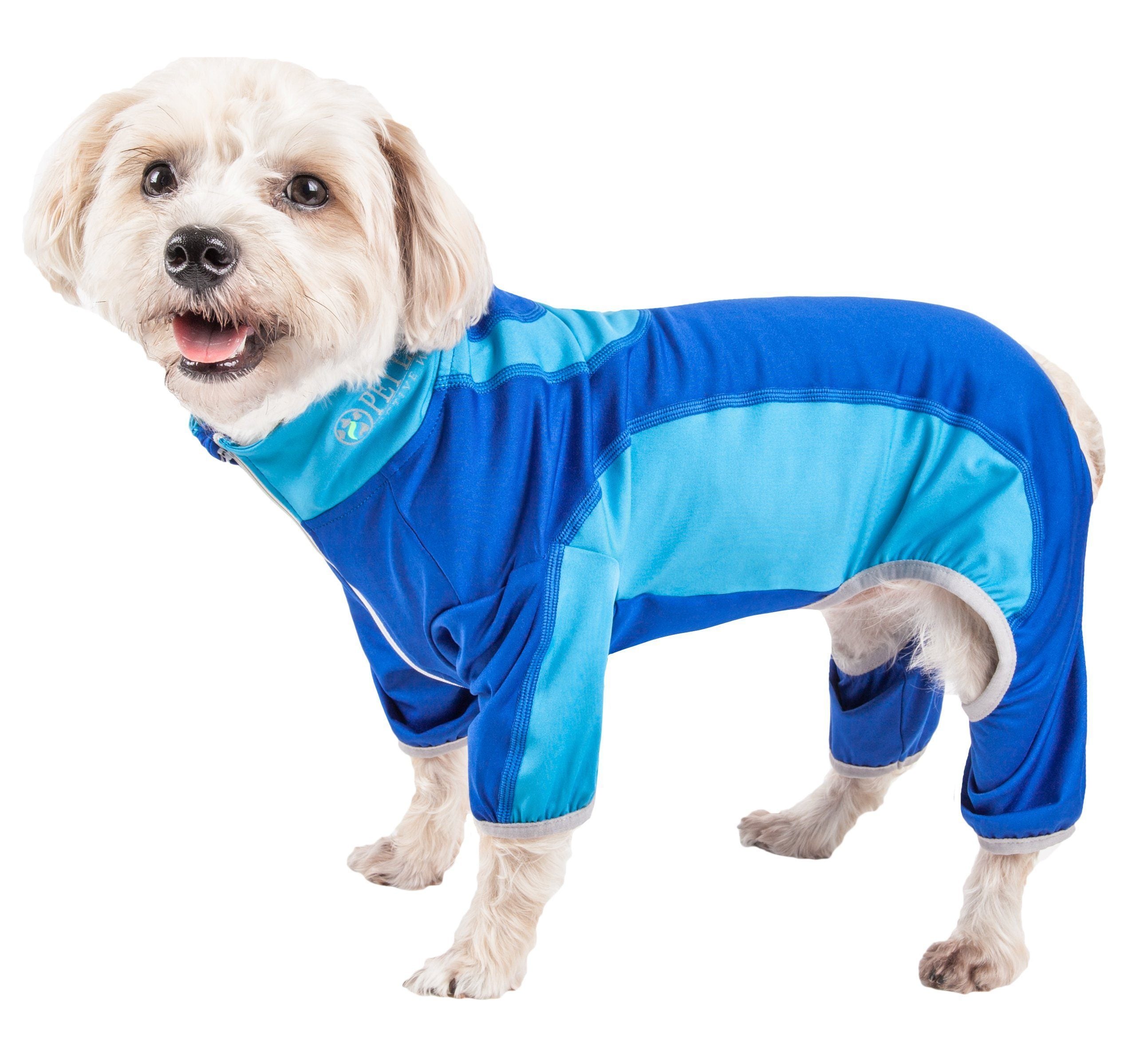 Active Warm-Pup Stretchy Quick-Drying Fitness Yoga Dog Warm-Up Tracksuit