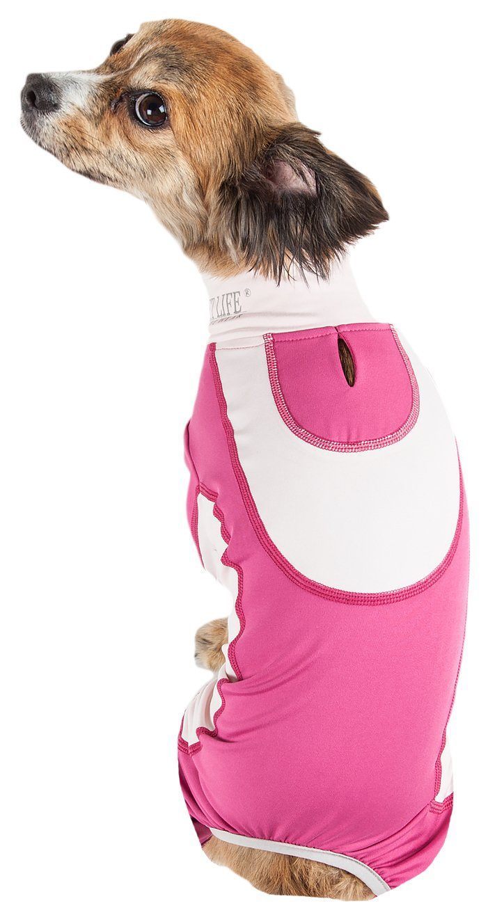Active Warm-Pup Stretchy Quick-Drying Fitness Yoga Dog Warm-Up Tracksuit