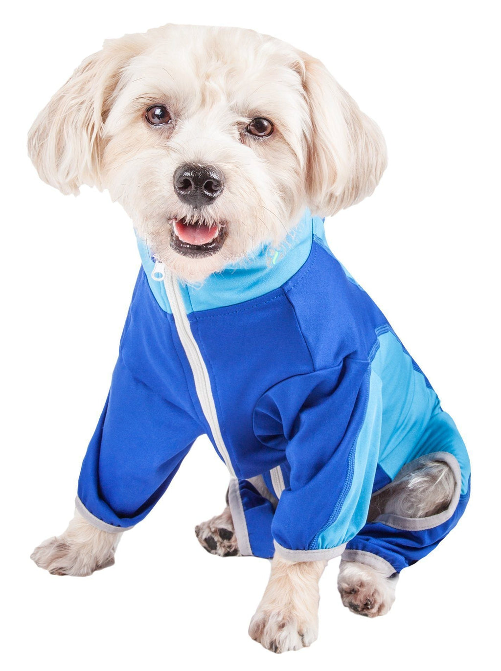 Active Warm-Pup Stretchy Quick-Drying Fitness Yoga Dog Warm-Up Tracksuit