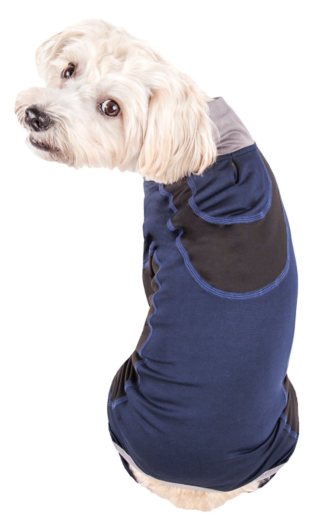Active Warm-Pup Stretchy Quick-Drying Fitness Yoga Dog Warm-Up Tracksuit
