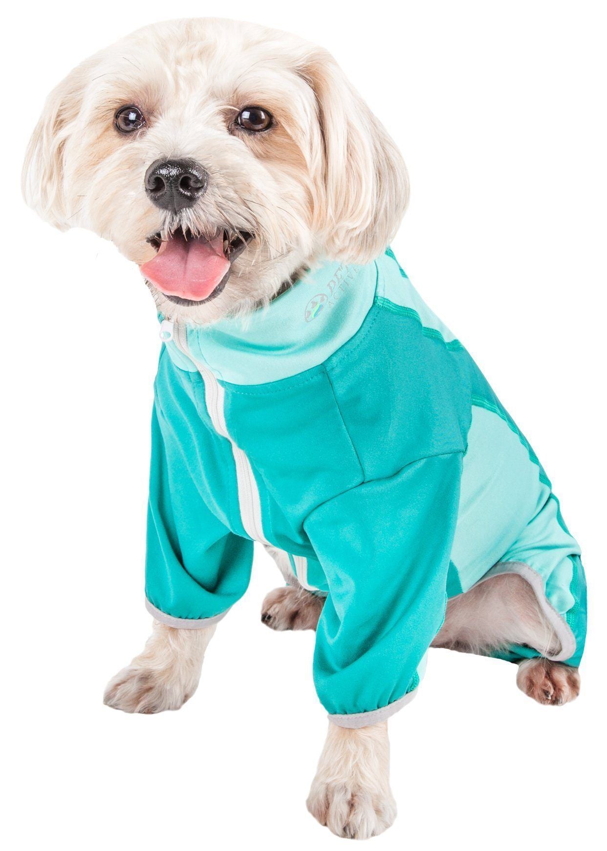 Active Warm-Pup Stretchy Quick-Drying Fitness Yoga Dog Warm-Up Tracksuit