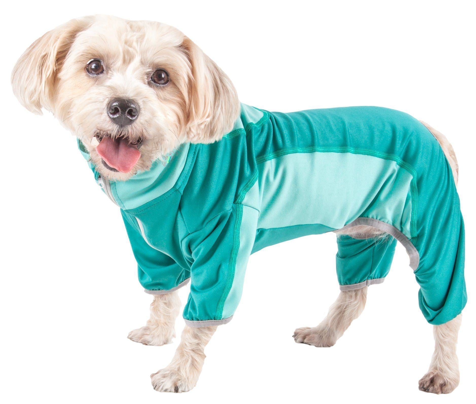 Active Warm-Pup Stretchy Quick-Drying Fitness Yoga Dog Warm-Up Tracksuit