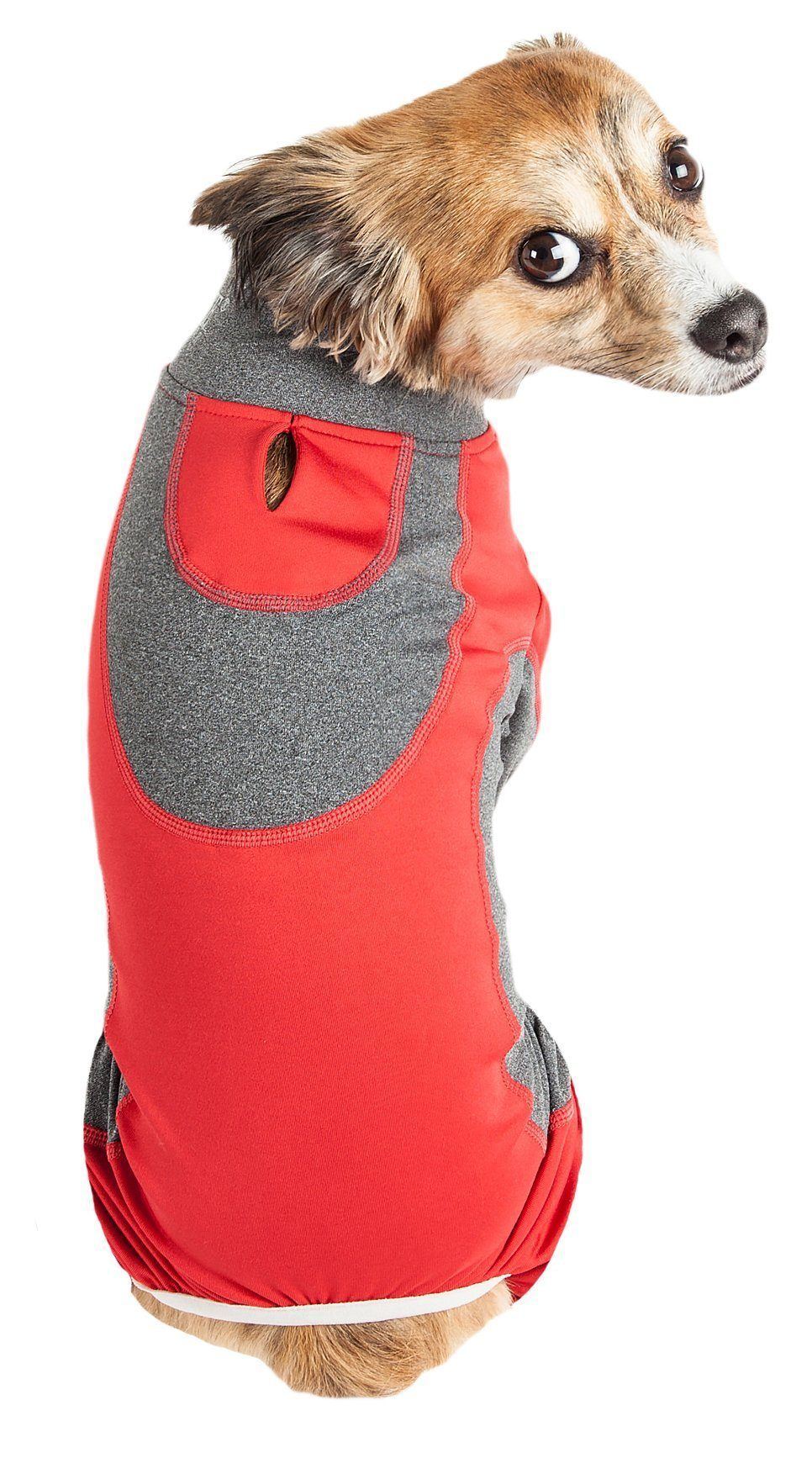 Active Warm-Pup Stretchy Quick-Drying Fitness Yoga Dog Warm-Up Tracksuit