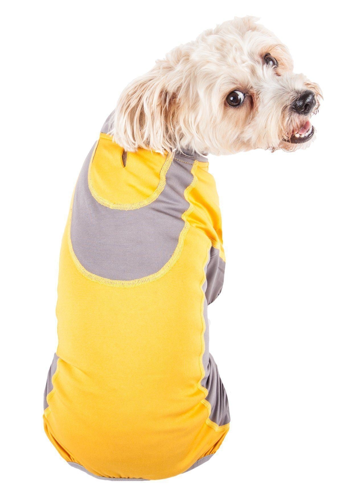 Active Warm-Pup Stretchy Quick-Drying Fitness Yoga Dog Warm-Up Tracksuit