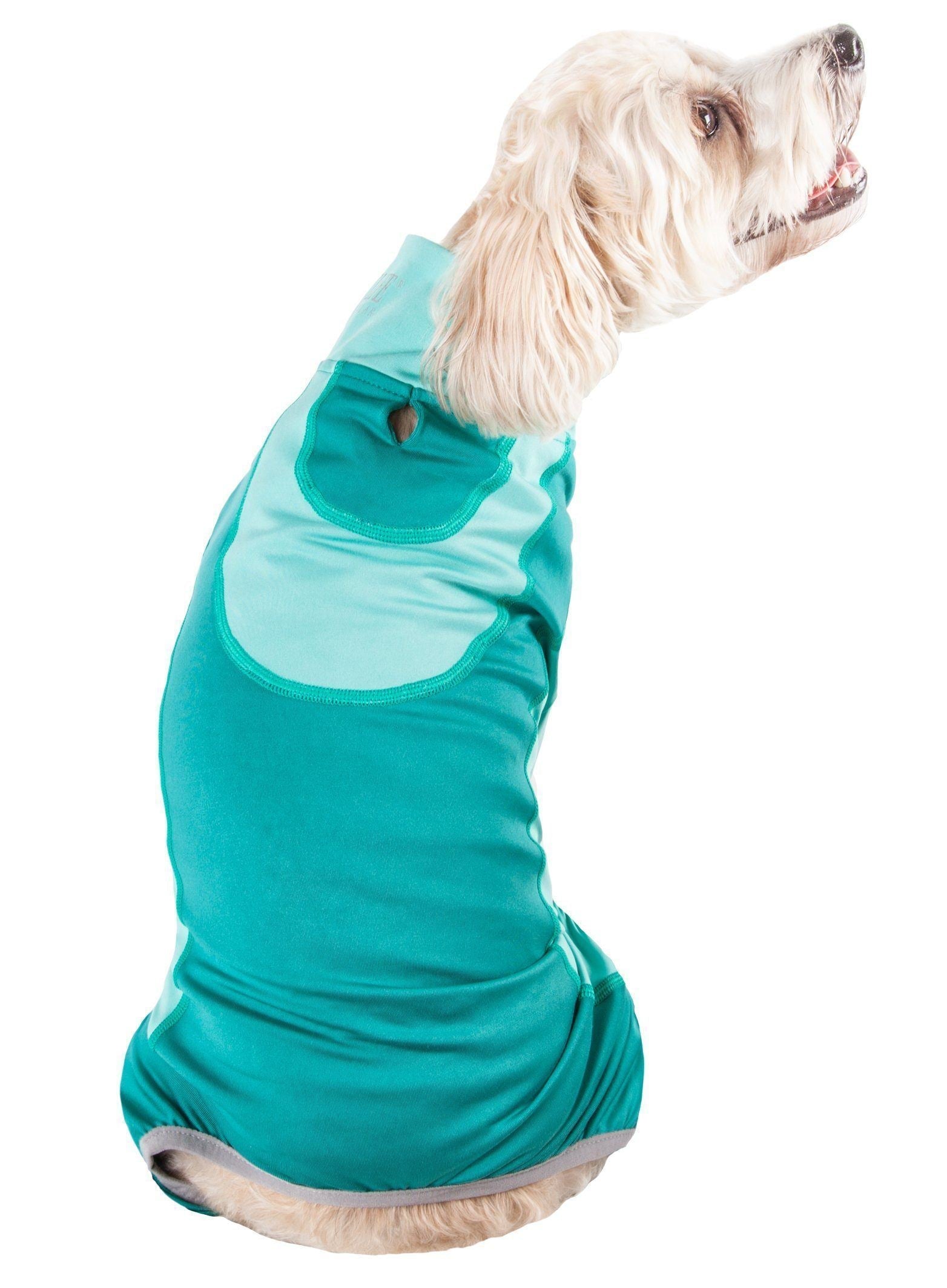 Active Warm-Pup Stretchy Quick-Drying Fitness Yoga Dog Warm-Up Tracksuit
