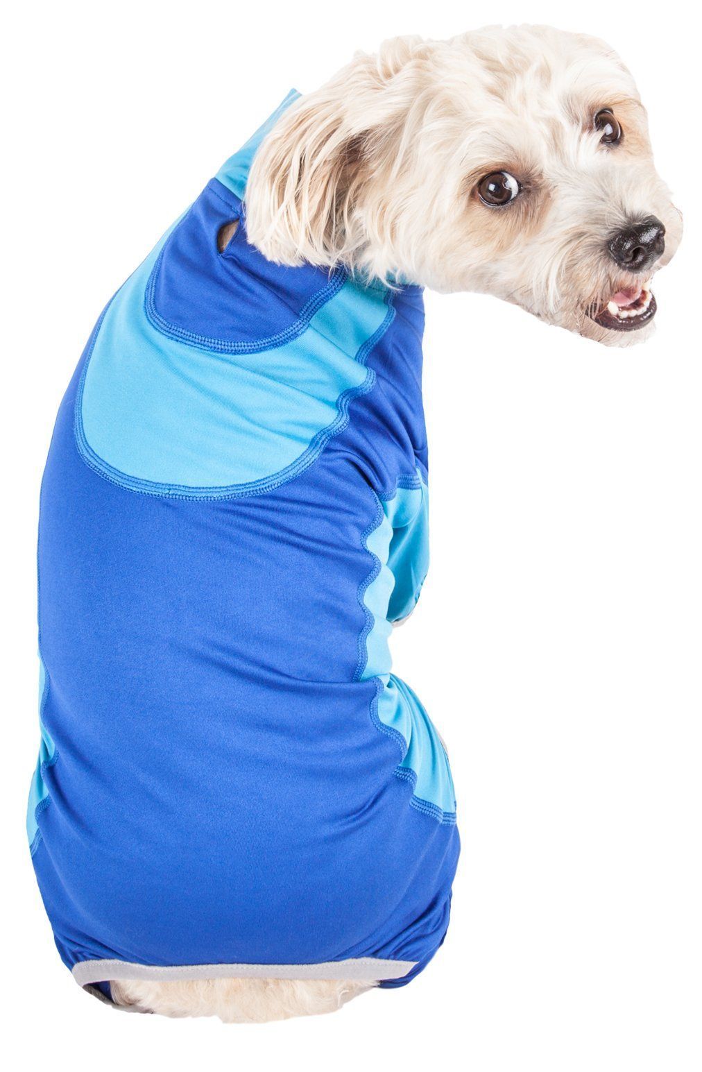 Active Warm-Pup Stretchy Quick-Drying Fitness Yoga Dog Warm-Up Tracksuit