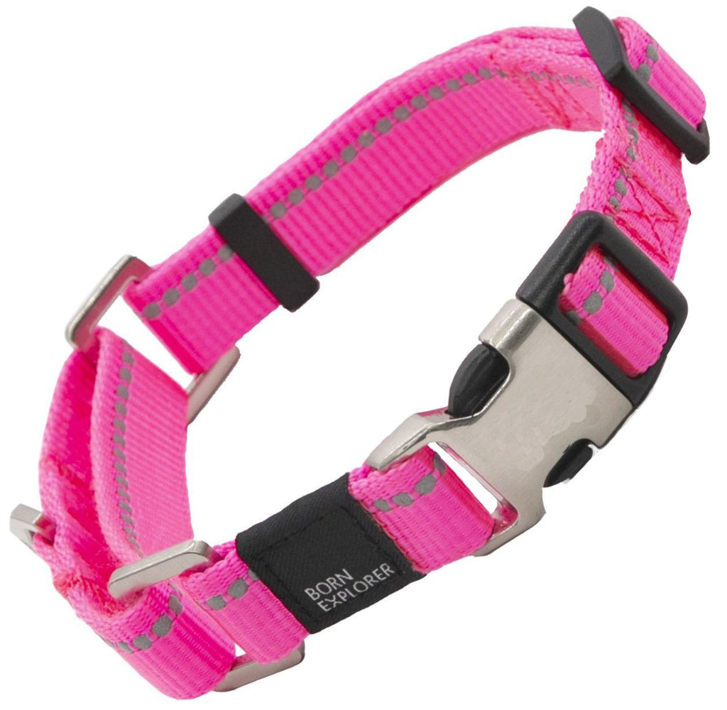 Advent Outdoor 3M Reflective 2-in-1 Martingale Training Dog Leash and Collar