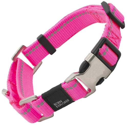 Advent Outdoor 3M Reflective 2-in-1 Martingale Training Dog Leash and Collar