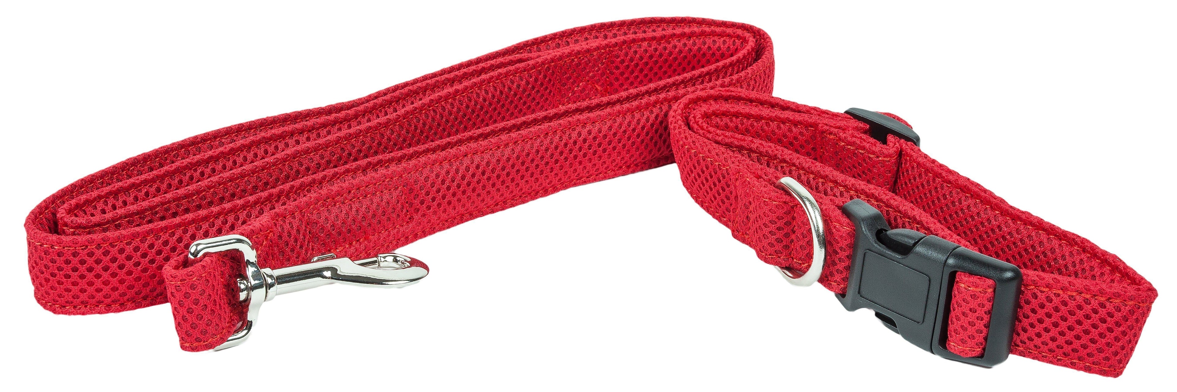 Aero Mesh 2-in-1 Breathable Adjustable Dual-Sided Mesh Dog Leash and Collar Set