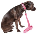 Aero Mesh 2-in-1 Breathable Adjustable Dual-Sided Mesh Dog Leash and Collar Set