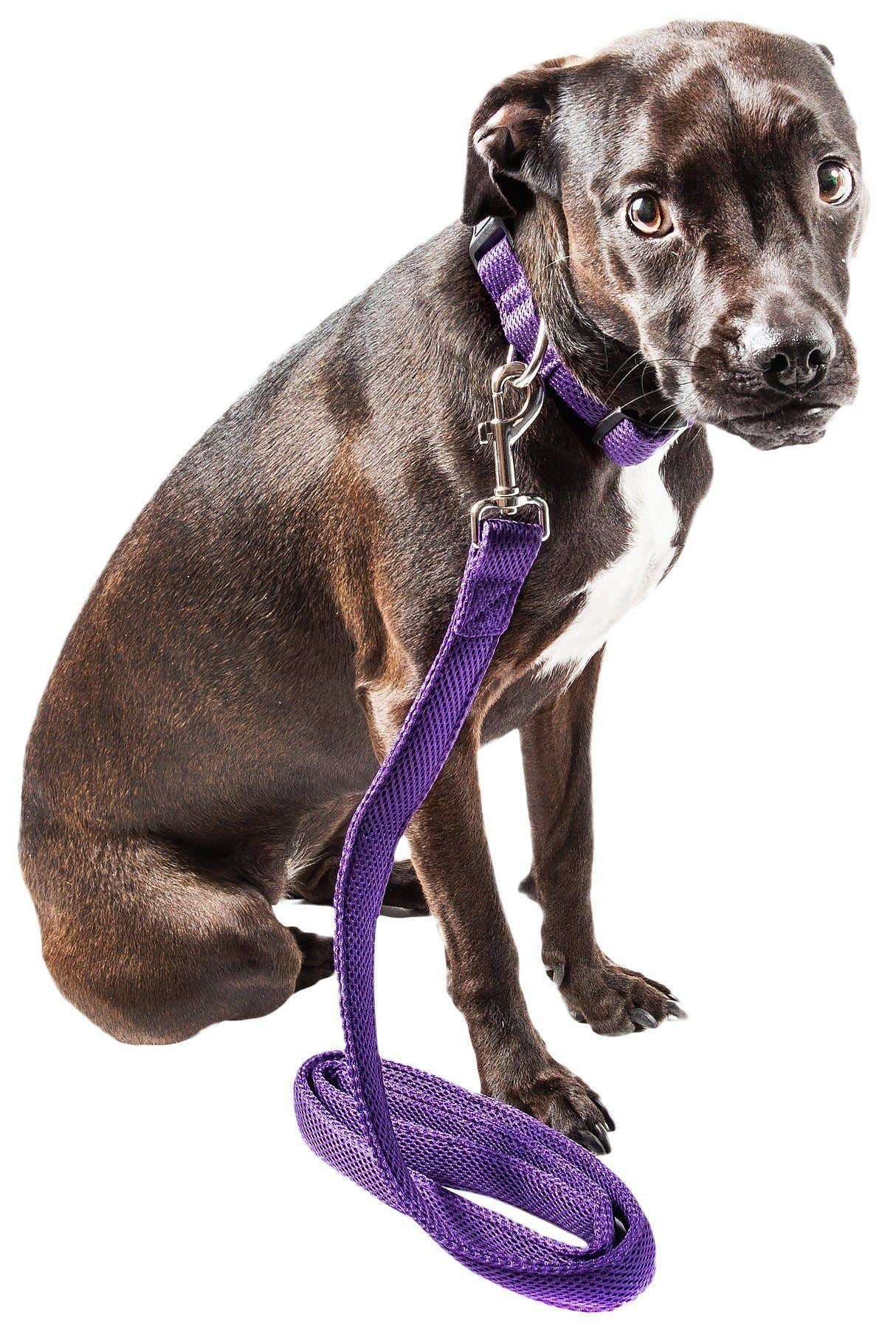 Aero Mesh 2-in-1 Breathable Adjustable Dual-Sided Mesh Dog Leash and Collar Set