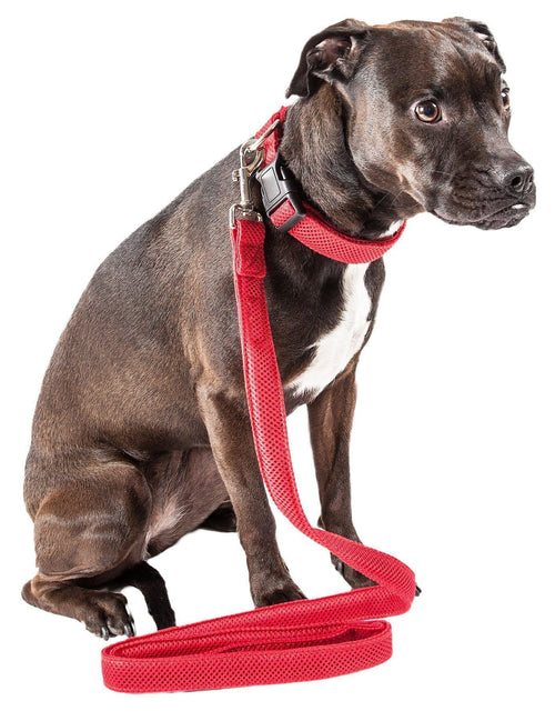 Aero Mesh 2-in-1 Breathable Adjustable Dual-Sided Mesh Dog Leash and Collar Set