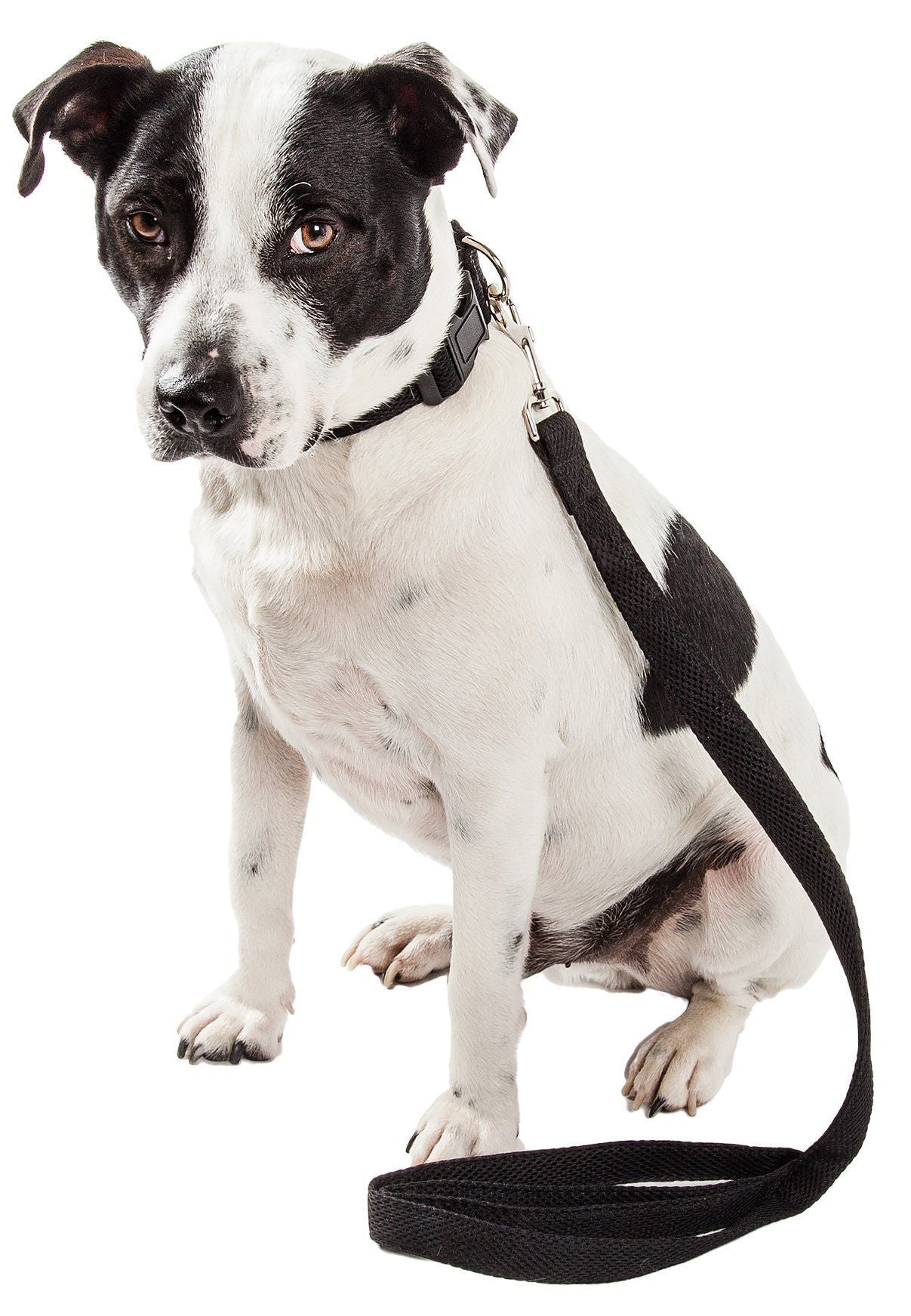 Aero Mesh 2-in-1 Breathable Adjustable Dual-Sided Mesh Dog Leash and Collar Set