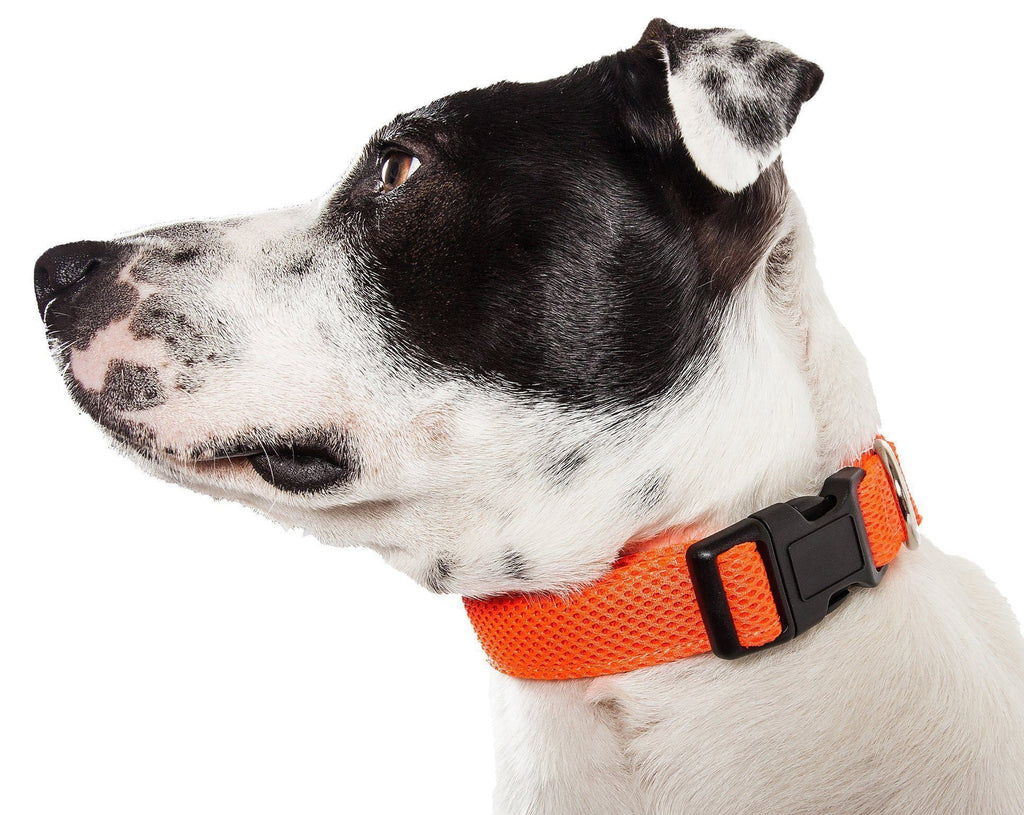 Aero Mesh Dual-Sided Breathable Adjustable Mesh Dog Collar – Multiple Colors