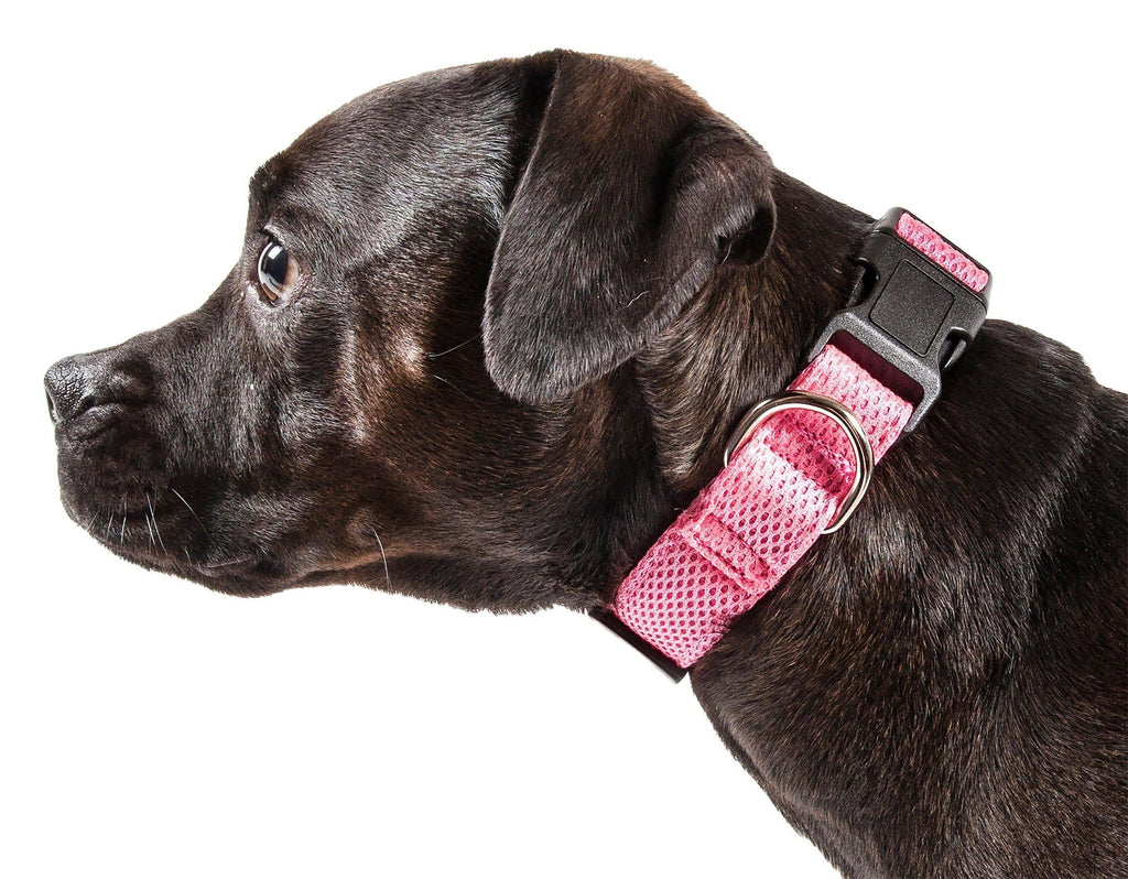 Aero Mesh Dual-Sided Breathable Adjustable Mesh Dog Collar – Multiple Colors